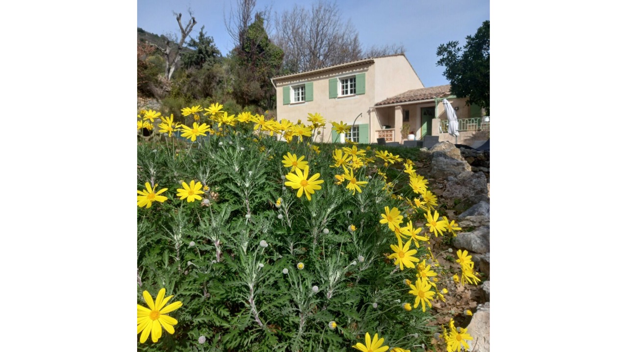 Photo of Outdoor in Carros