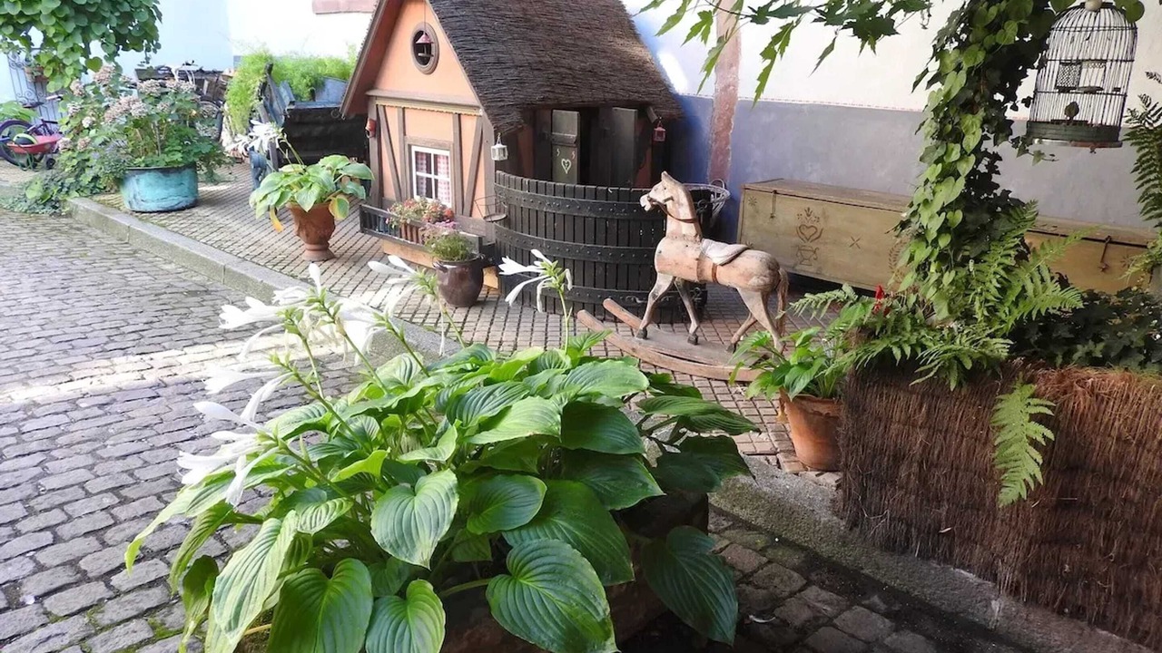 Photo of Outdoor in Kientzheim