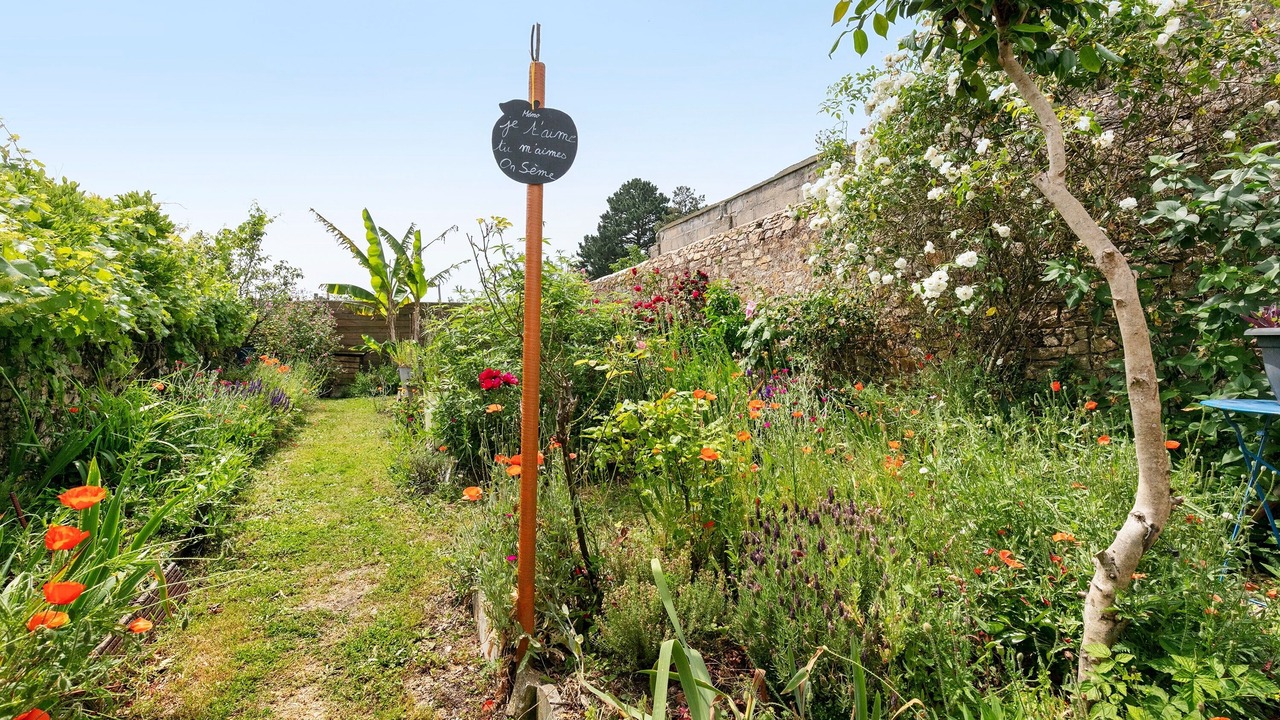 Photo of Outdoor in Paimboeuf