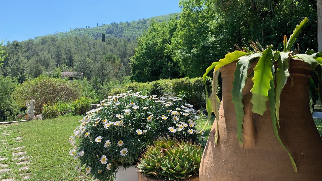 Photo of Outdoor in Le Bar-sur-Loup