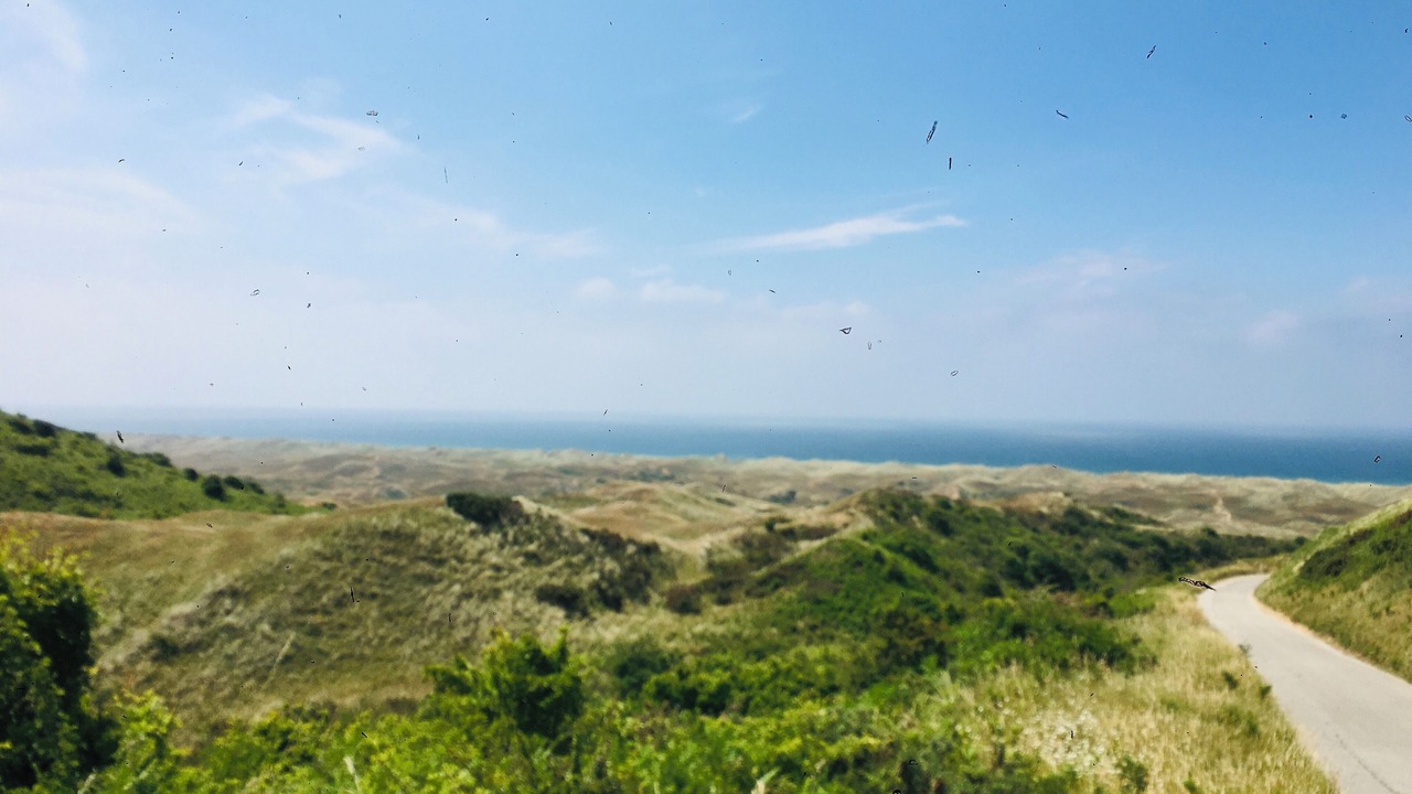 Photo of Others in Cherbourg-en-Cotentin