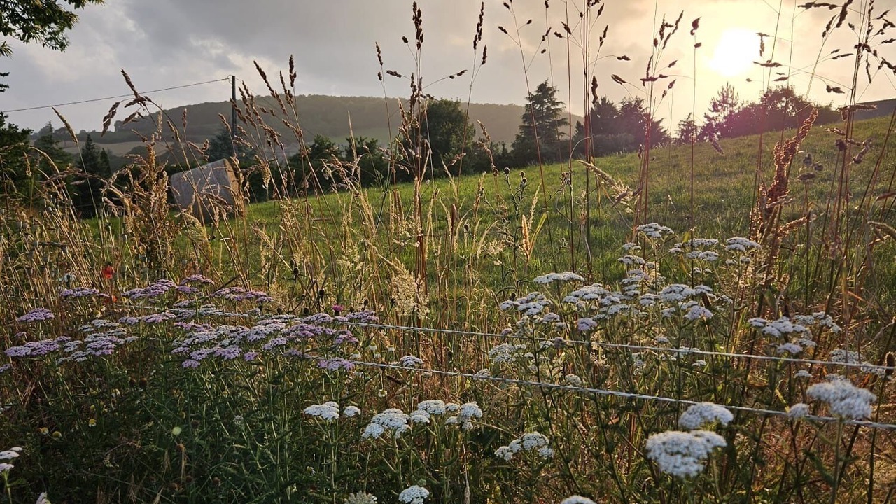 Photo of Others in Landelles-et-Coupigny