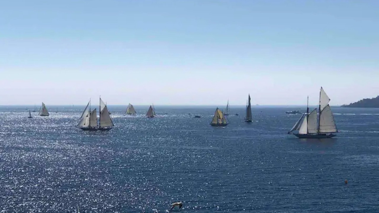 Photo of Others in Cannes La Bocca