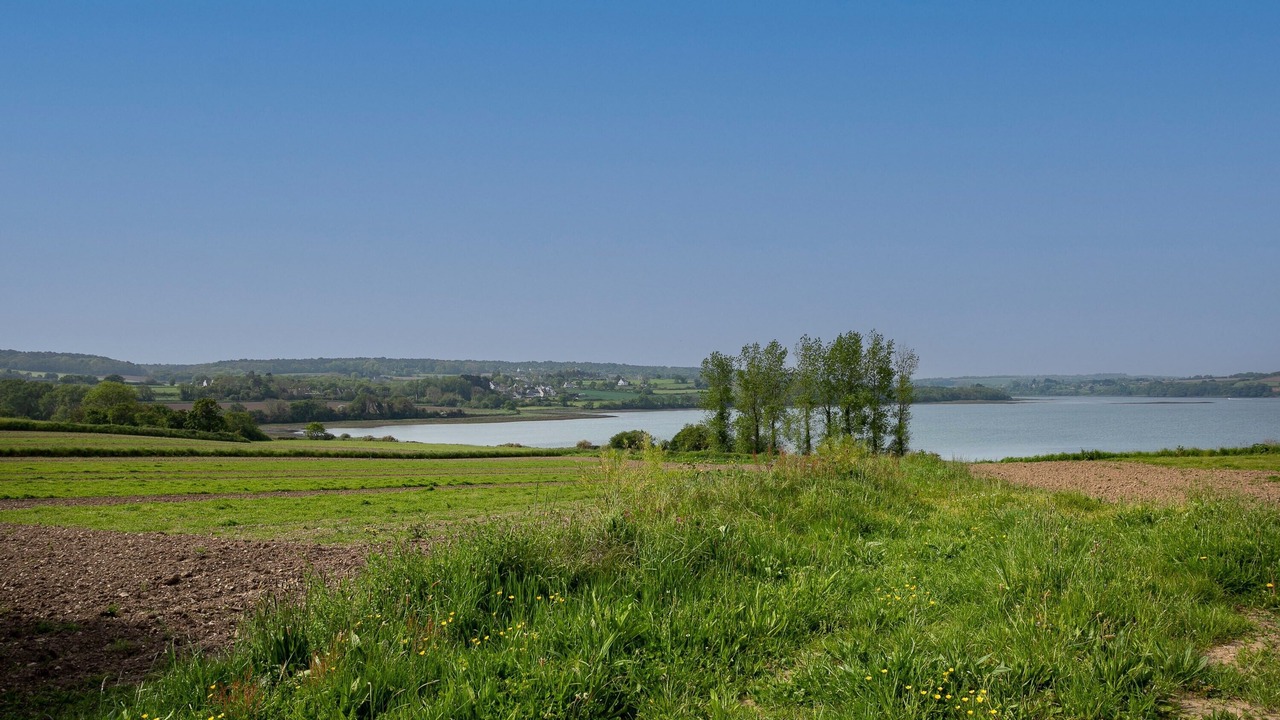 Photo of Others in Paimpol