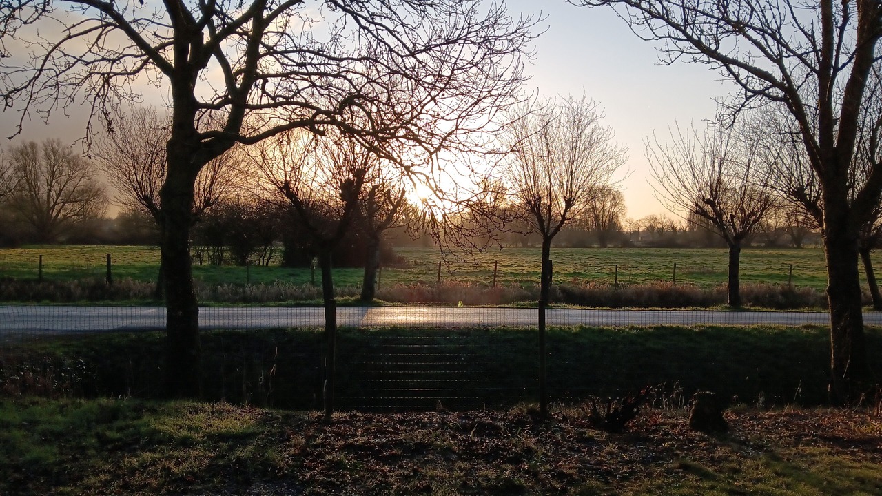 Photo of Others in Noyelles-sur-Mer