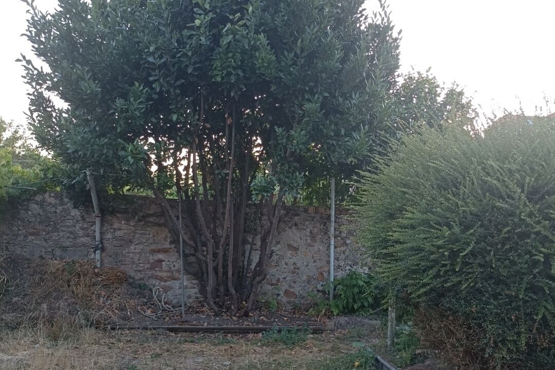 Photo of Outdoor in Paimboeuf