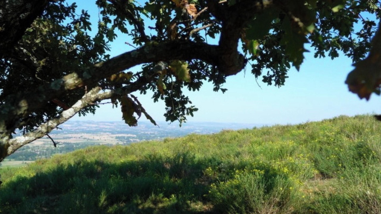 Photo of Outdoor in Massaguel