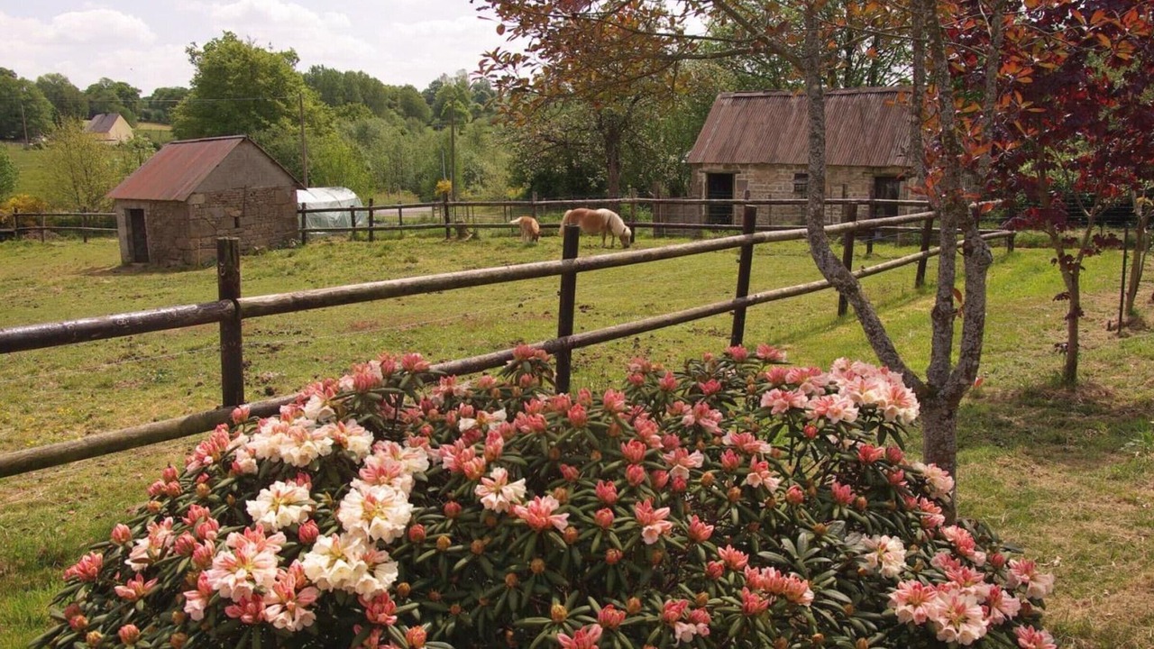 Photo of Outdoor in La Chapelle-Cecelin
