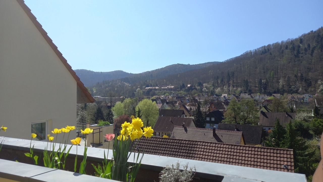 Photo of Outdoor in Kaysersberg