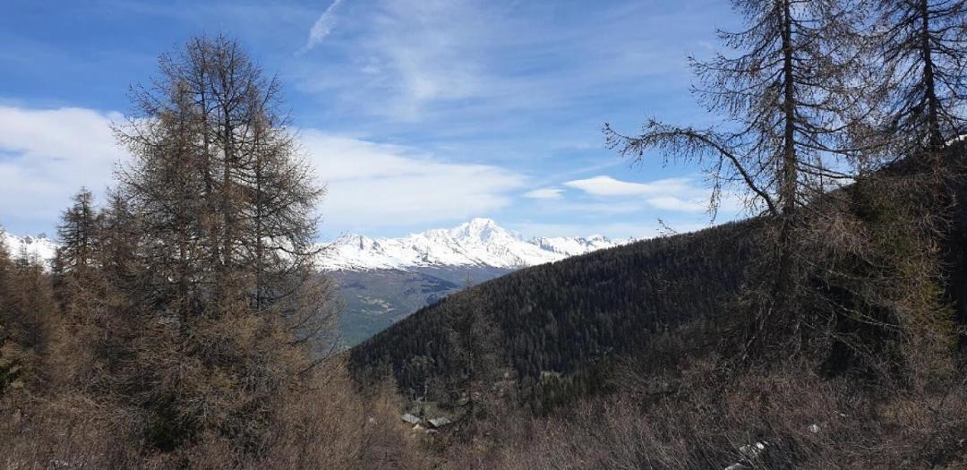 Photo of Others in Plagne 1800