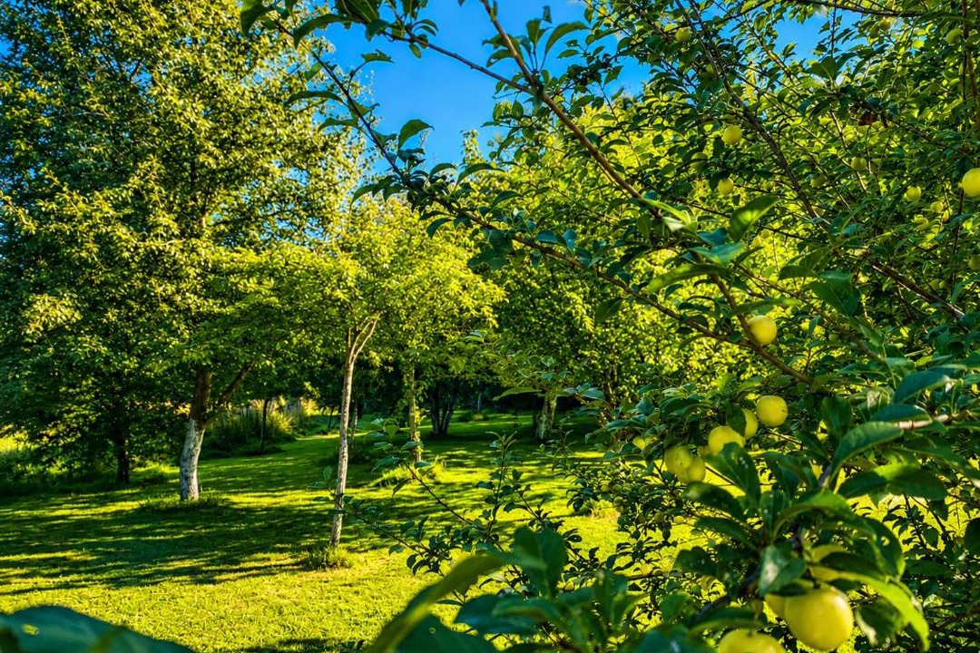 Photo of Outdoor in Cohiniac