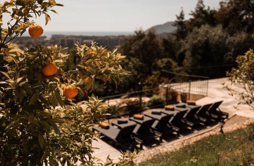 Les Termes Apartment | Villa Les Roches
