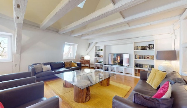 dreyfus duplex city center ac 3br 2bth 165m2