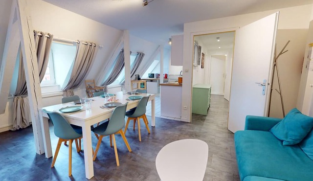 pleyel 60m2 city center 2br