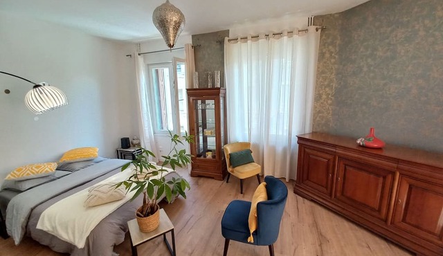 Charming Duplex in Heart of Mulhouse
